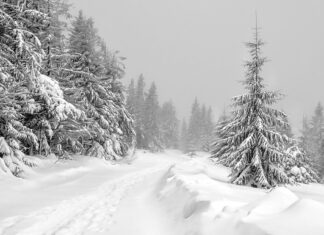 Kiedy koniec ferii 2023 Warszawa?