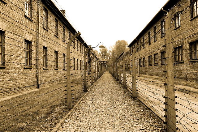Ile trzeba mieć lat żeby wejść do Auschwitz?