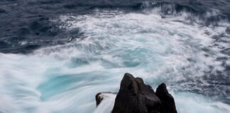 Kiedy ceny żywności spadną?