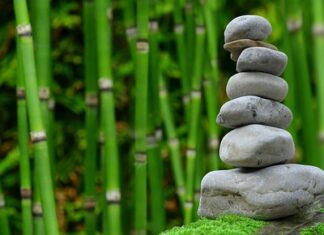 Czy Japonia jest w NATO?