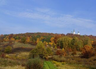 Czy Bielany to dobra dzielnicą?