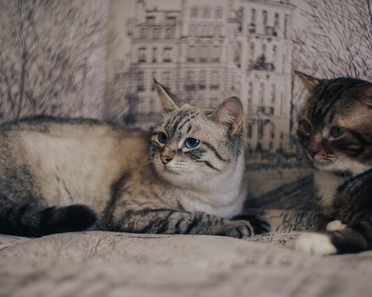 Jak można spędzić randkę?