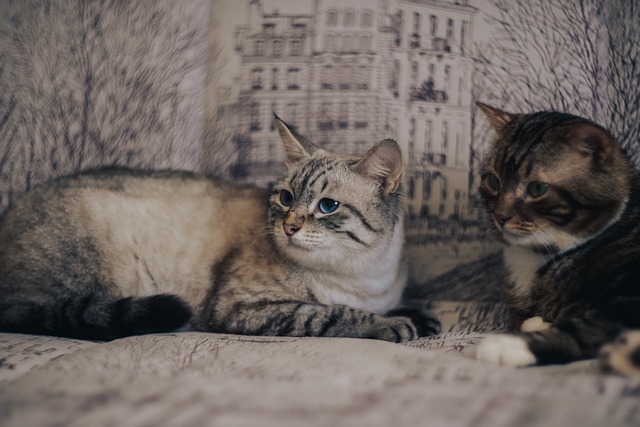 Jak można spędzić randkę? Jak można spędzić randkę?