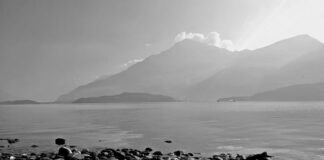 Ile kosztuje wejście do zamku w Warszawie?