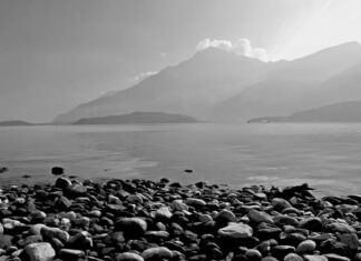 Ile kosztuje wejście do zamku w Warszawie?