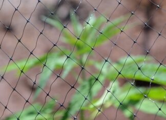 Czy na Łotwie jest prohibicja? Czy na Łotwie jest prohibicja?