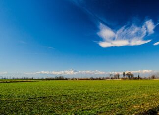 Dlaczego mówimy na Niemców Niemcy? Dlaczego mówimy na Niemców Niemcy?