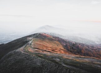Ile trwa zwiedzanie parku w Wilanowie?