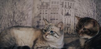 Gdzie iść na randkę w Warszawie? Gdzie iść na randkę w Warszawie?