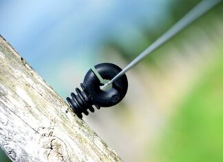 Czy przodkami Polaków byli wikingowie?